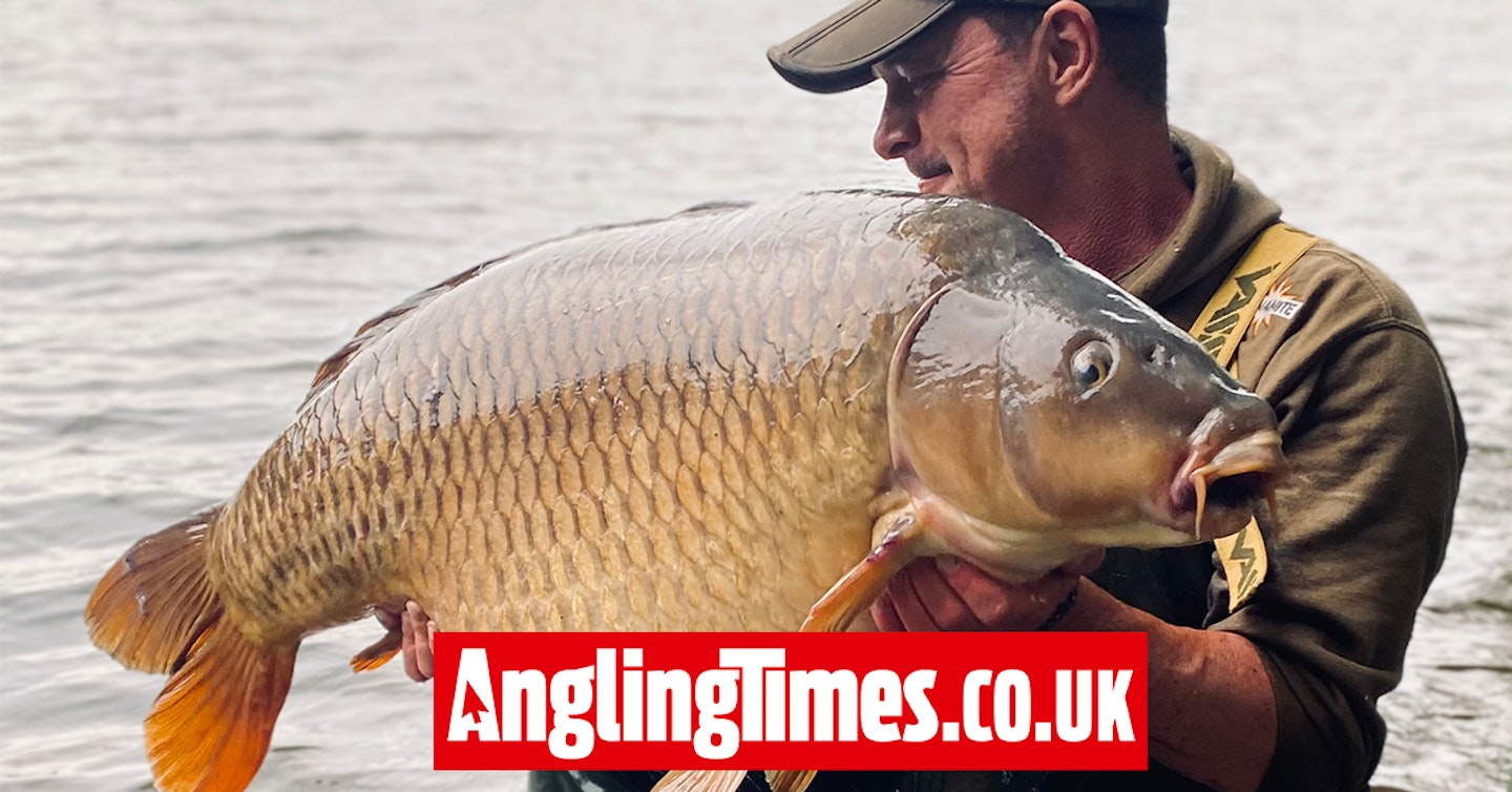 Hand-placed rig fools mega 50lb-plus common carp angler previously caught 23 years ago