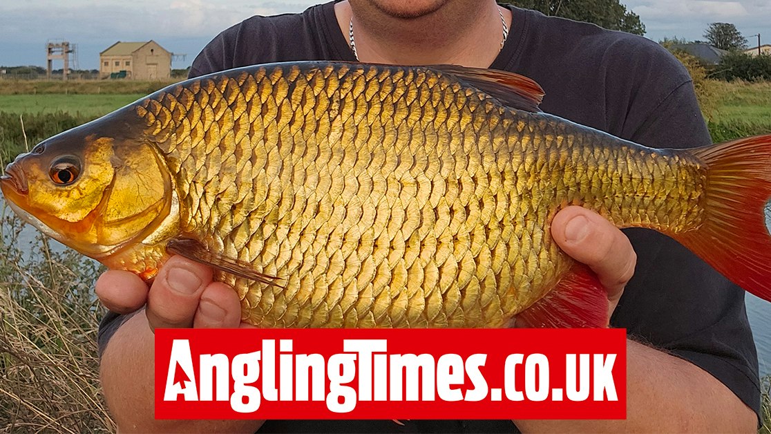 River Rudd Monster river rudd smashes PB | Angling Times