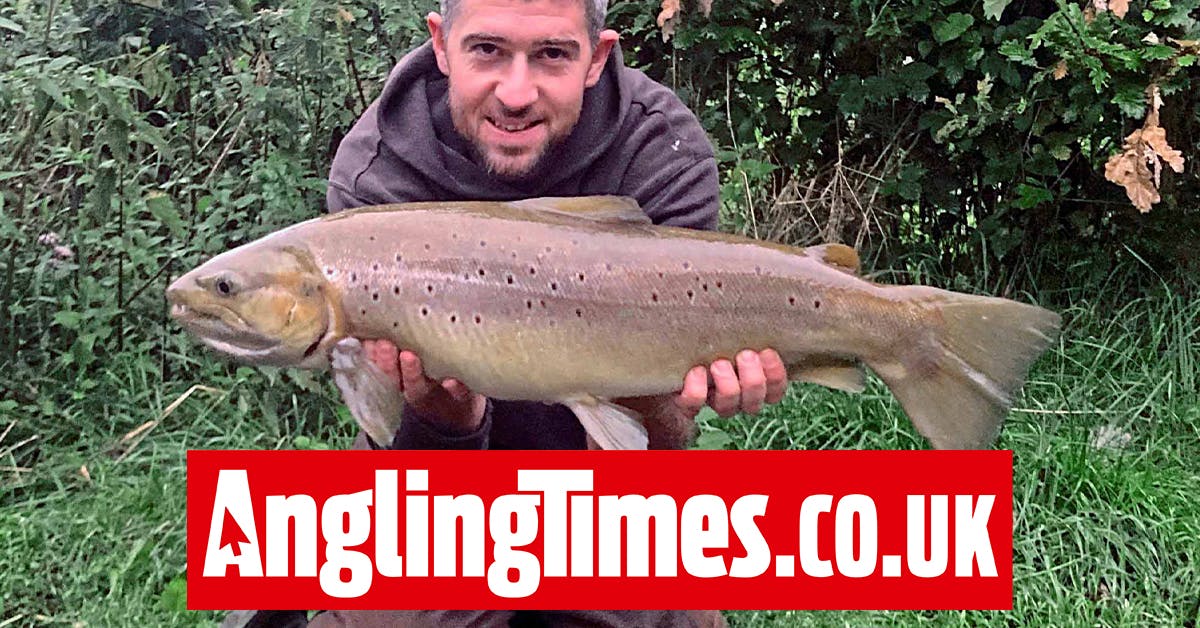 Magic spell for trout and salmon, as surprise giants fall to bait and