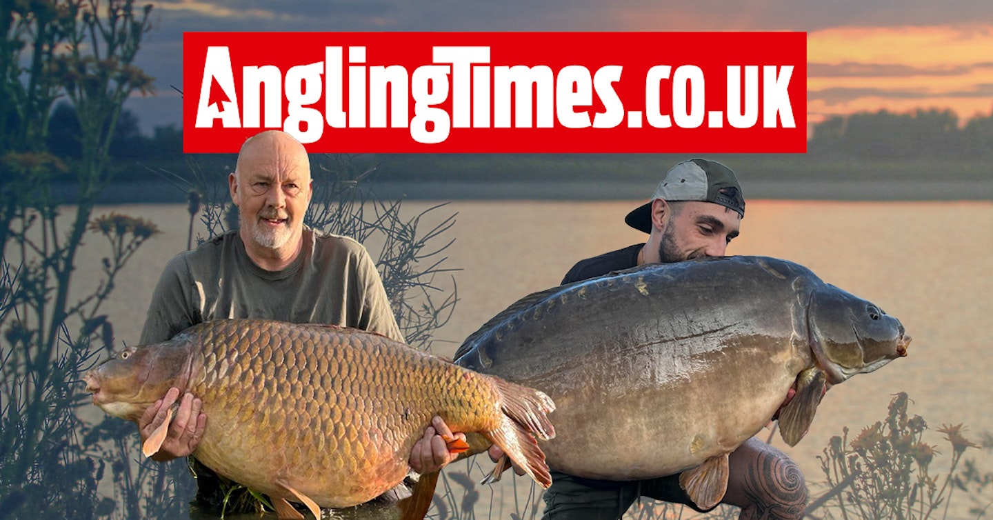 Father and son land Berners carp record and Parco biggest fish just days apart