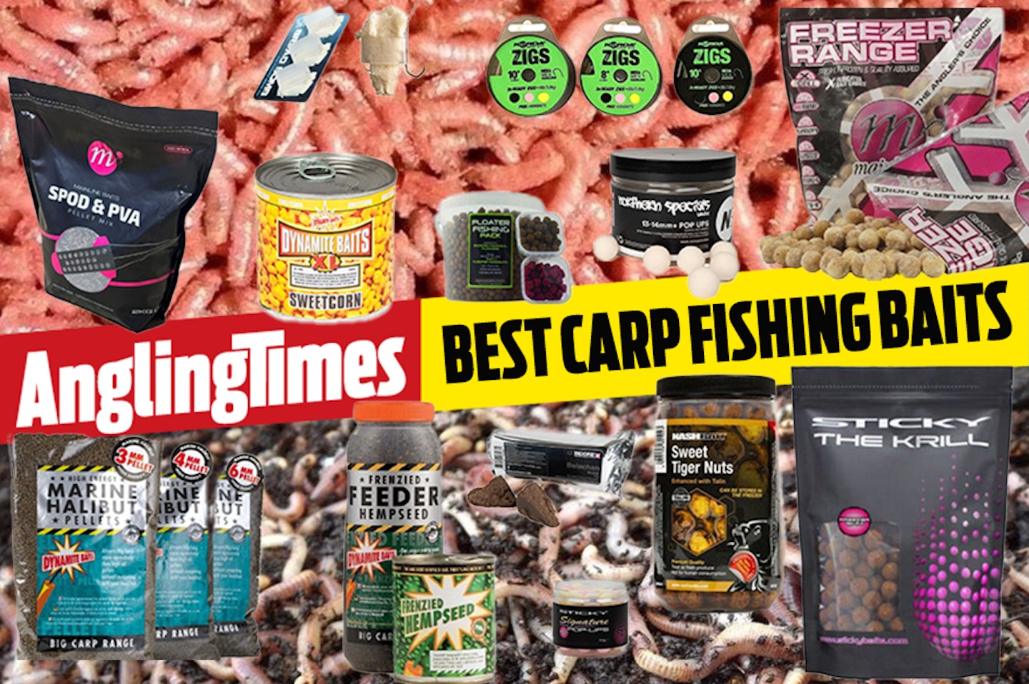 The best baits for carp fishing