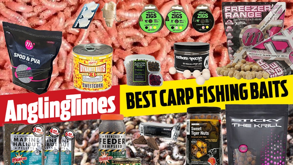The best baits for carp fishing | Angling Times