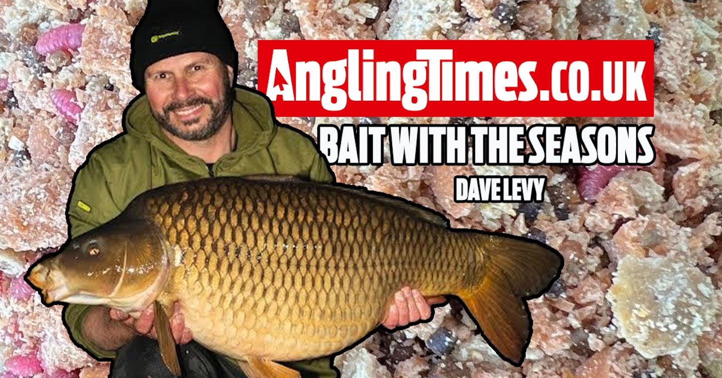 How to change your carp fishing baits with the seasons – Dave Levy
