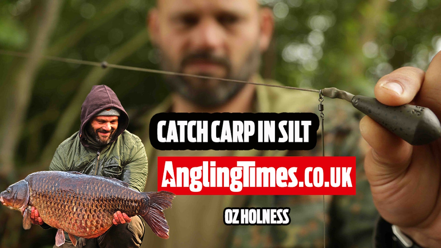 How to fish for carp in the silt