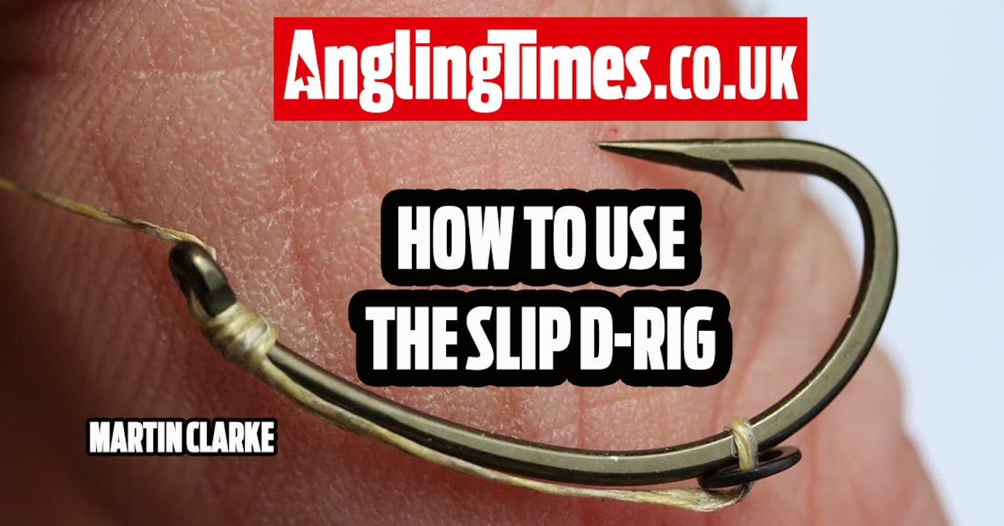 Why you need to use the Slip D-Rig in your carp fishing...