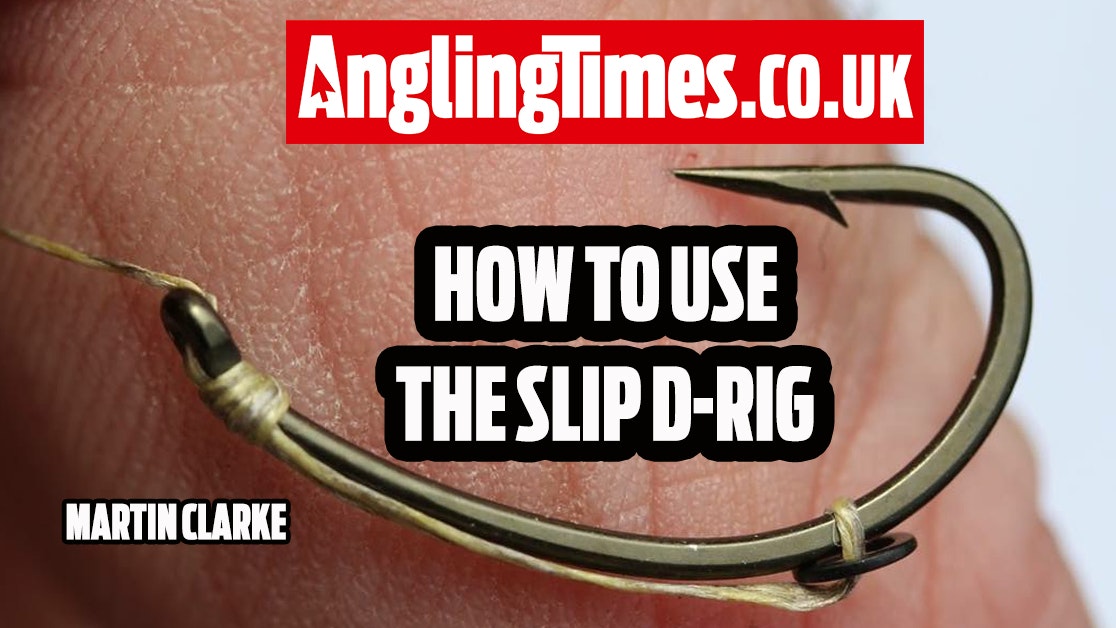 Why you need to use the Slip D-Rig in your carp fishing… | Angling Times