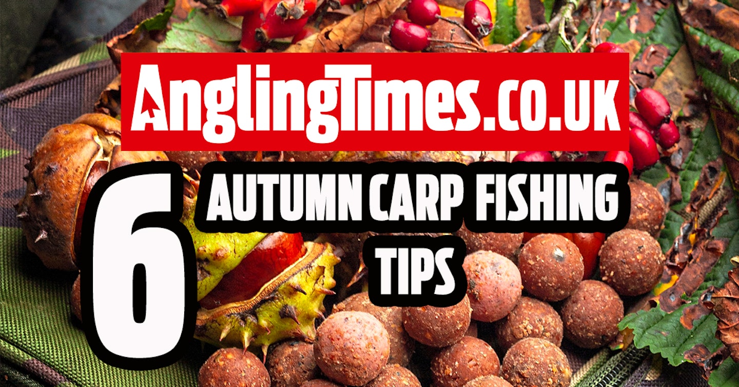 Six ultimate autumn carp fishing edges you must try now!