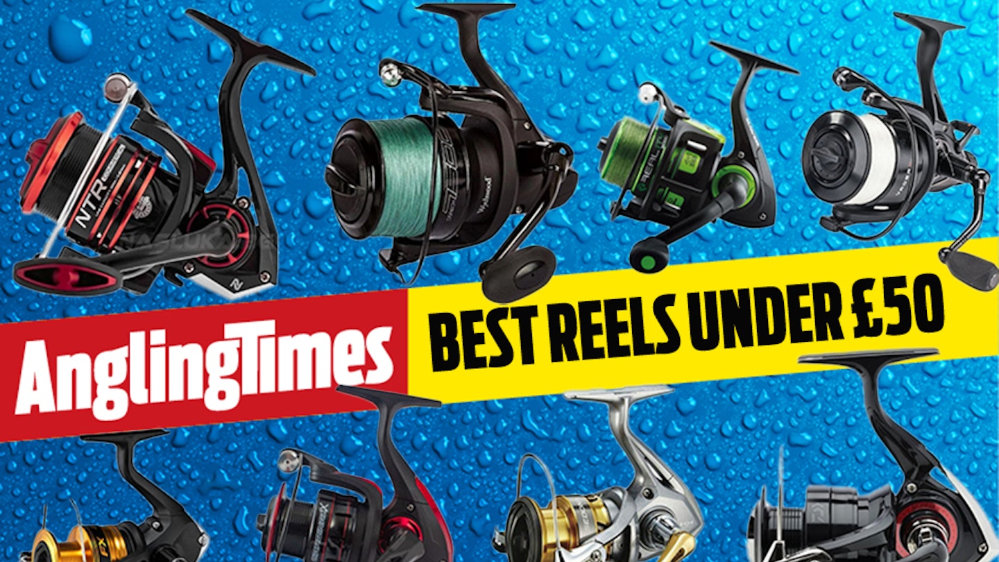 best carp fishing reels under 50 Kestrel Finesse Rod and Reel Combo For Bass, Trout, Panfish and Walleye, Bait Finesse System Fishing Rod Combo For Bass Fishing This finesse fishing rod and reel combo offers anglers a lightweight and highly responsive fishing experience The best fishing reels under