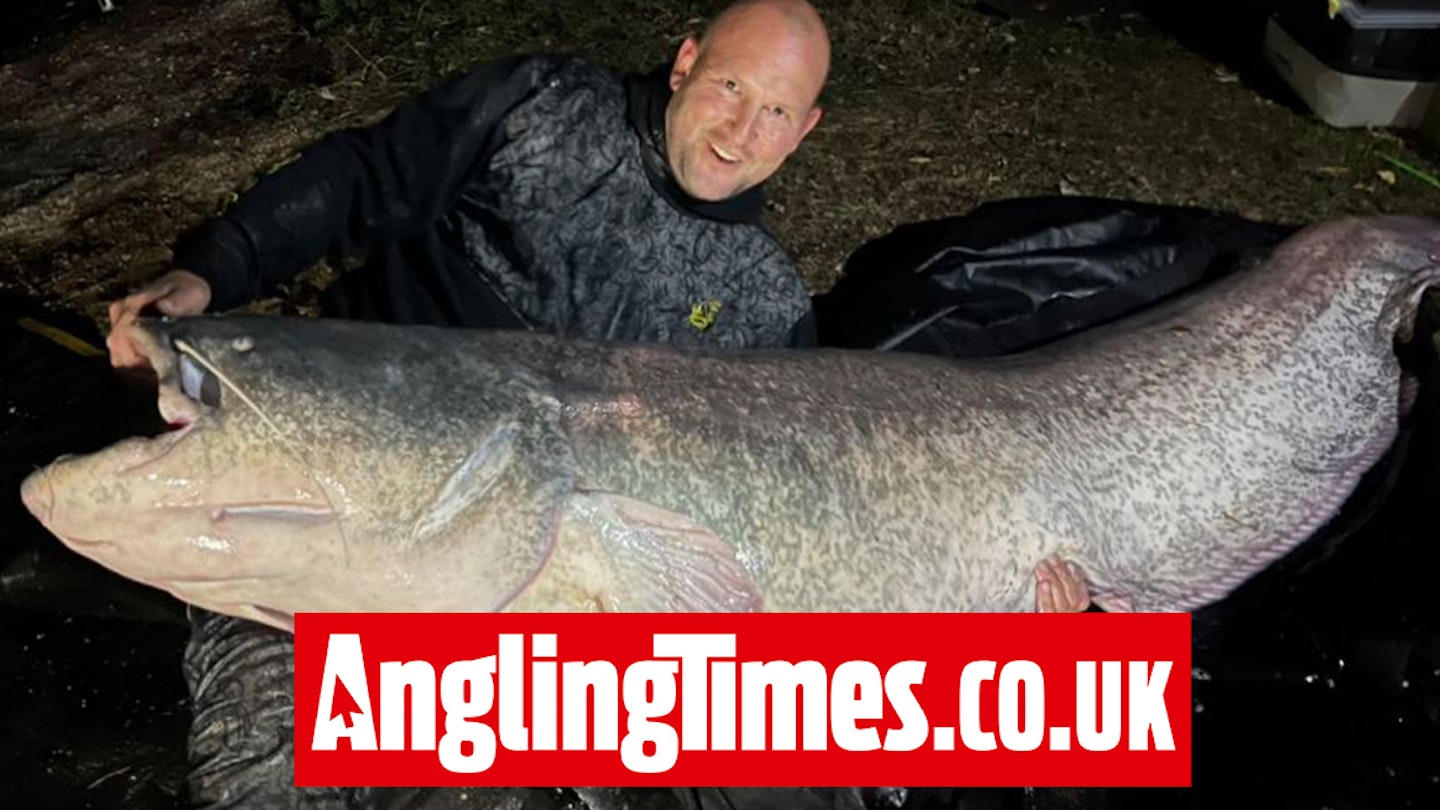 Essex angler catches astonishing record haul of monster catfish on France fishing holiday