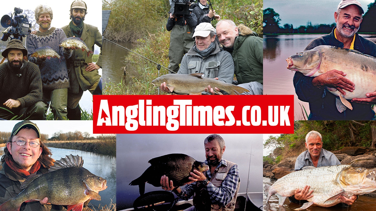 Fish Sitcom Three Of The Craziest Monster Fish Caught In 2015 Featured