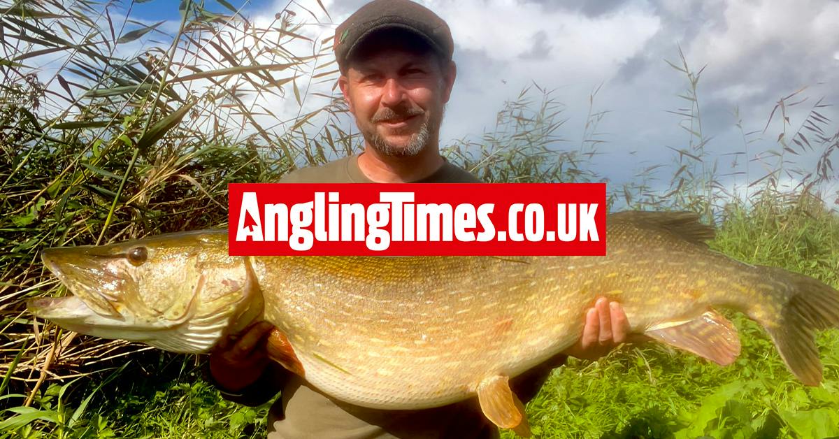 Big river pike hits a livebait on the very first cast | Angling Times