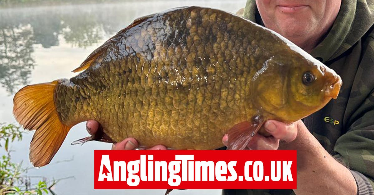 Carp angler lands huge crucian just 5oz short of British record