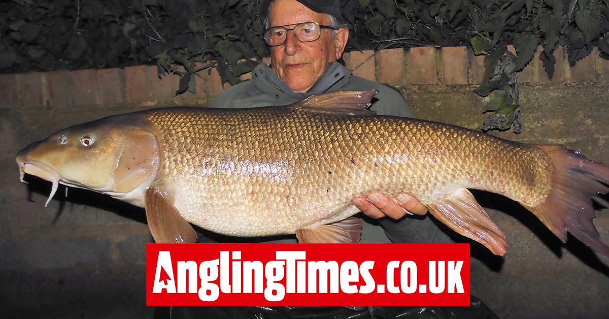 83yearold nearly breaks River Severn barbel record Angling Times
