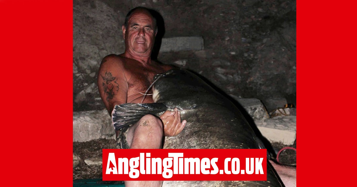 Brit banks colossal Ebro record catfish