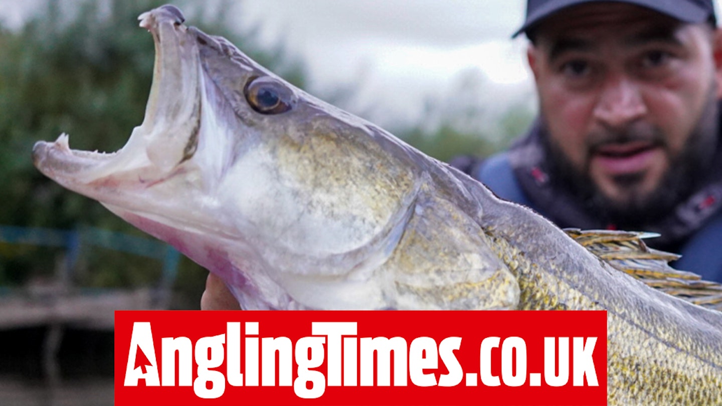 Angler’s boat ‘towed upstream’ by 3ft long zander on Midlands river