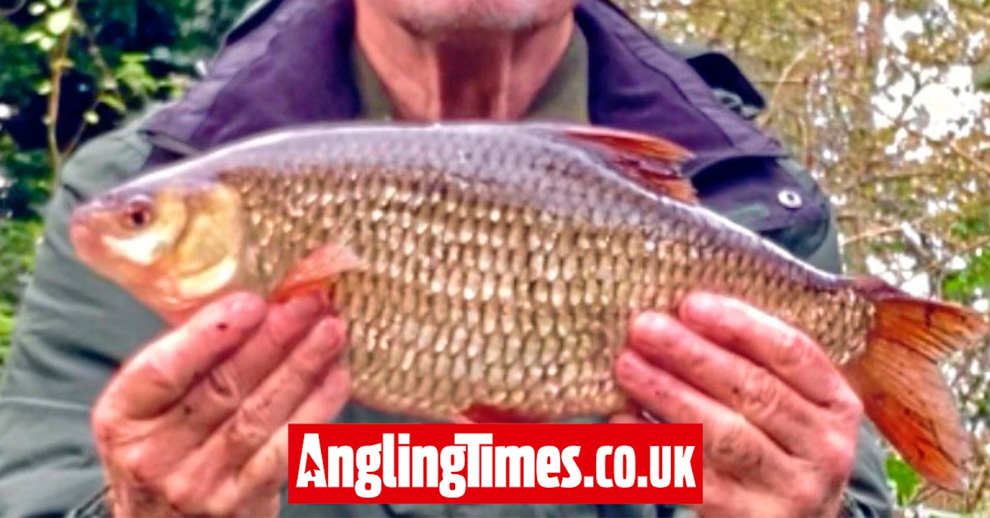 Personal best river roach is 'worth every penny' on wedding anniversary