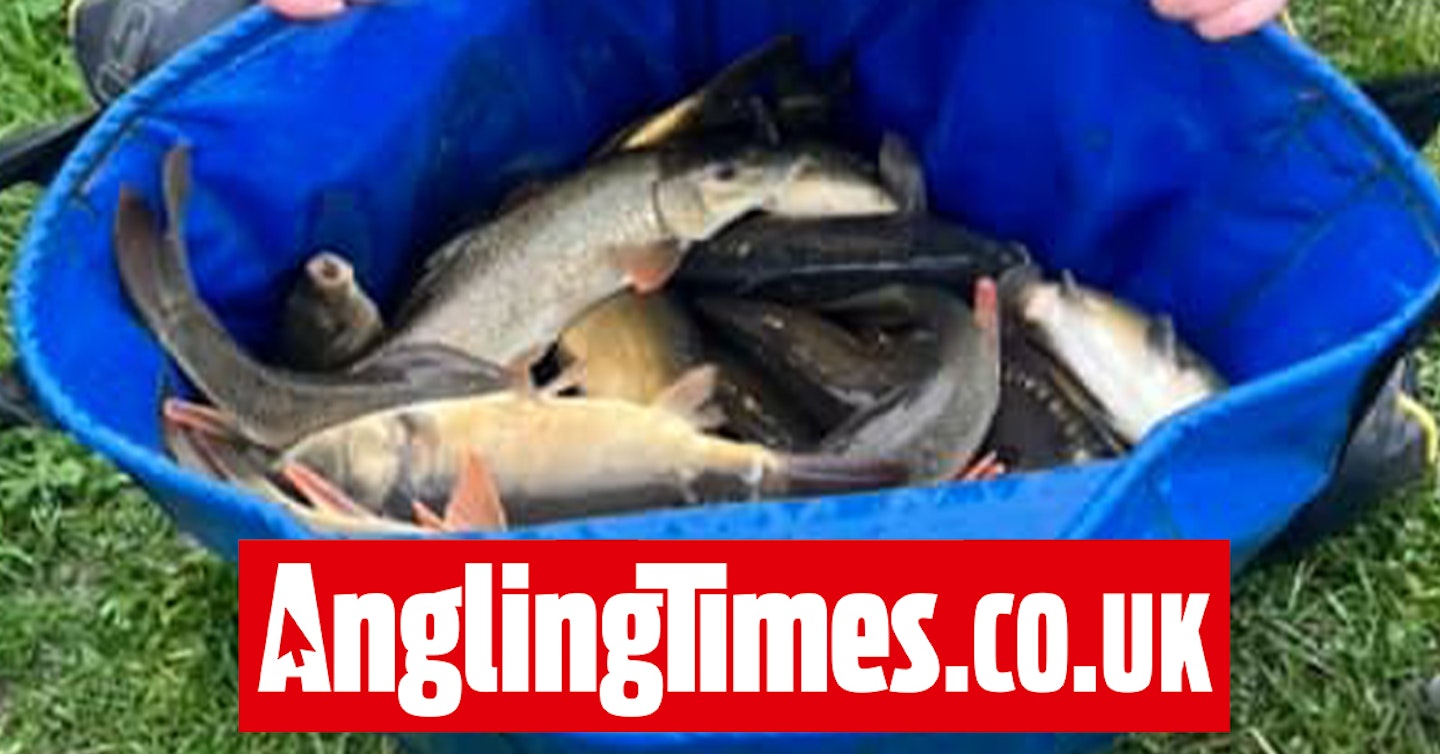 615lb catch of carp and barbel wins 'Golden Peg' Forest Lane match