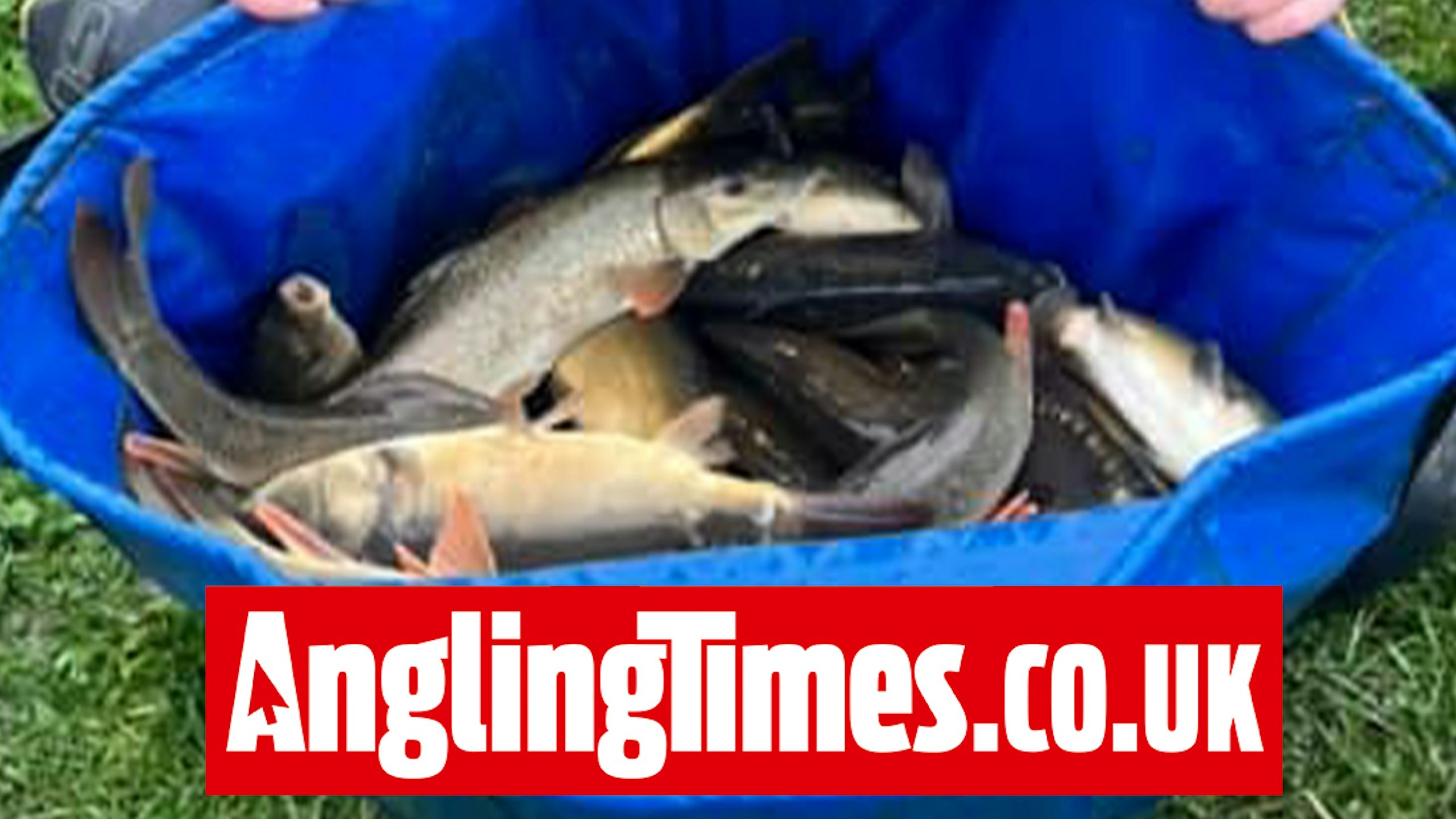 615lb catch of carp and barbel wins 'Golden Peg' Forest Lane match