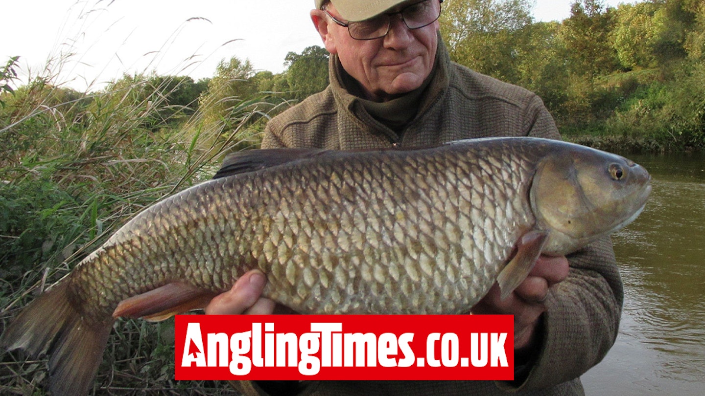 ‘Rare’ Severn chub is a real giant