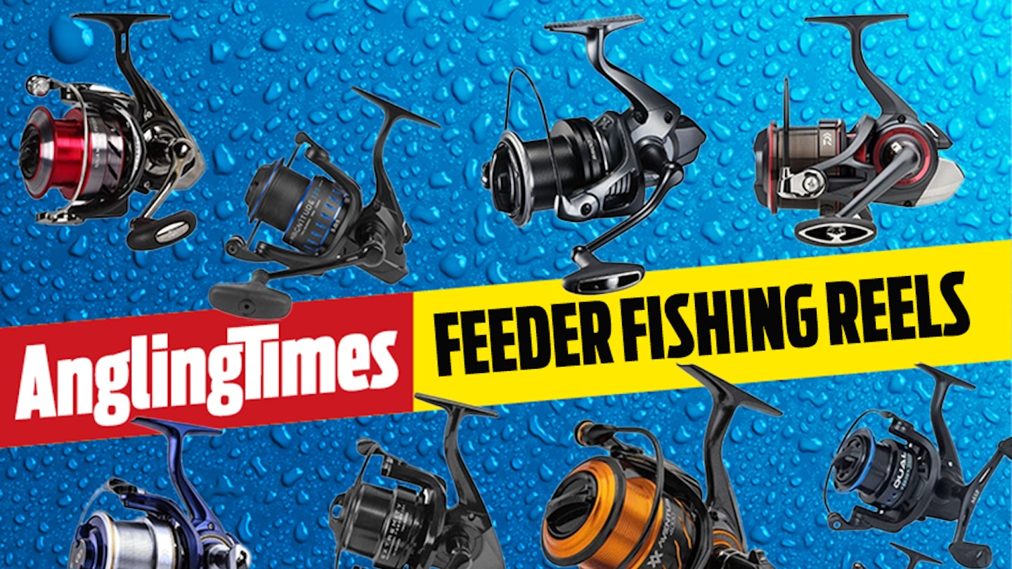 The best feeder fishing reels