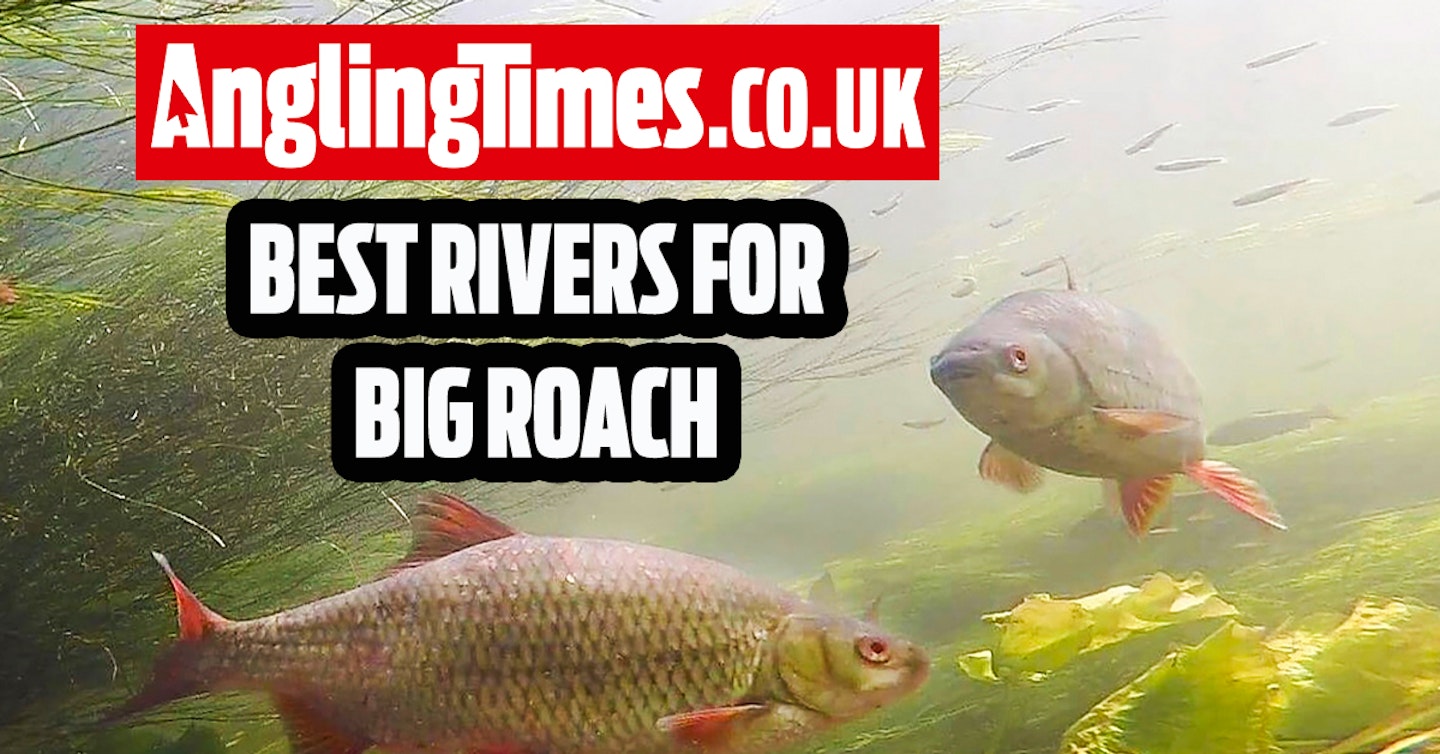 Fishing near me: Best rivers for big roach