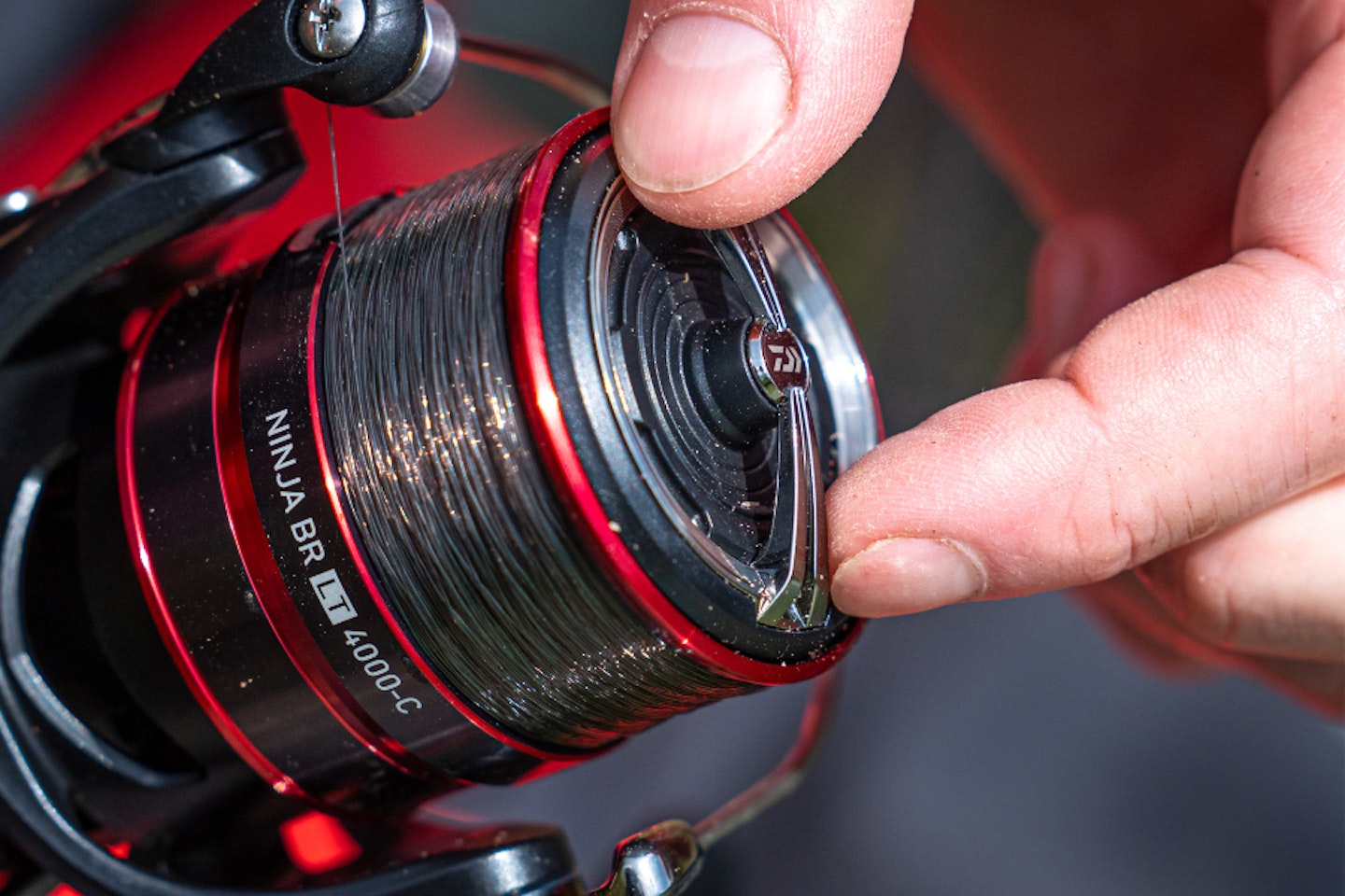 Daiwa 20 Ninja BR LT