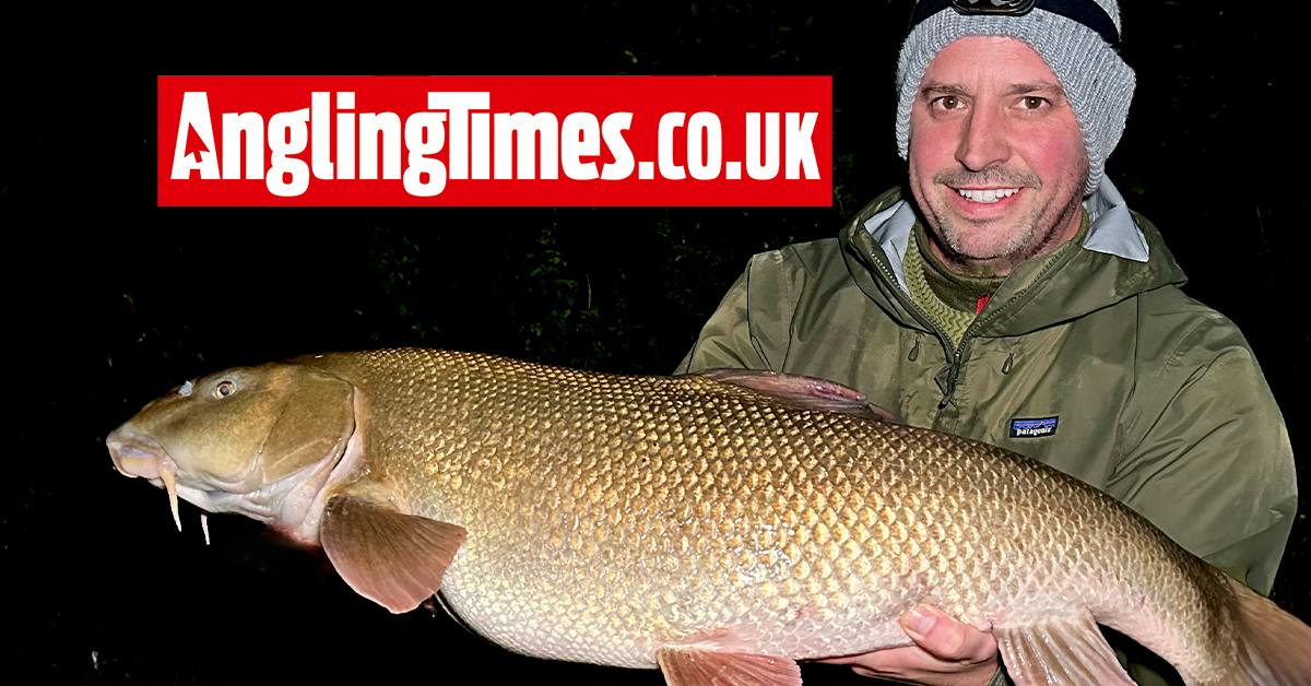 Personal best smashed with whopping Hampshire Avon barbel | Angling Times