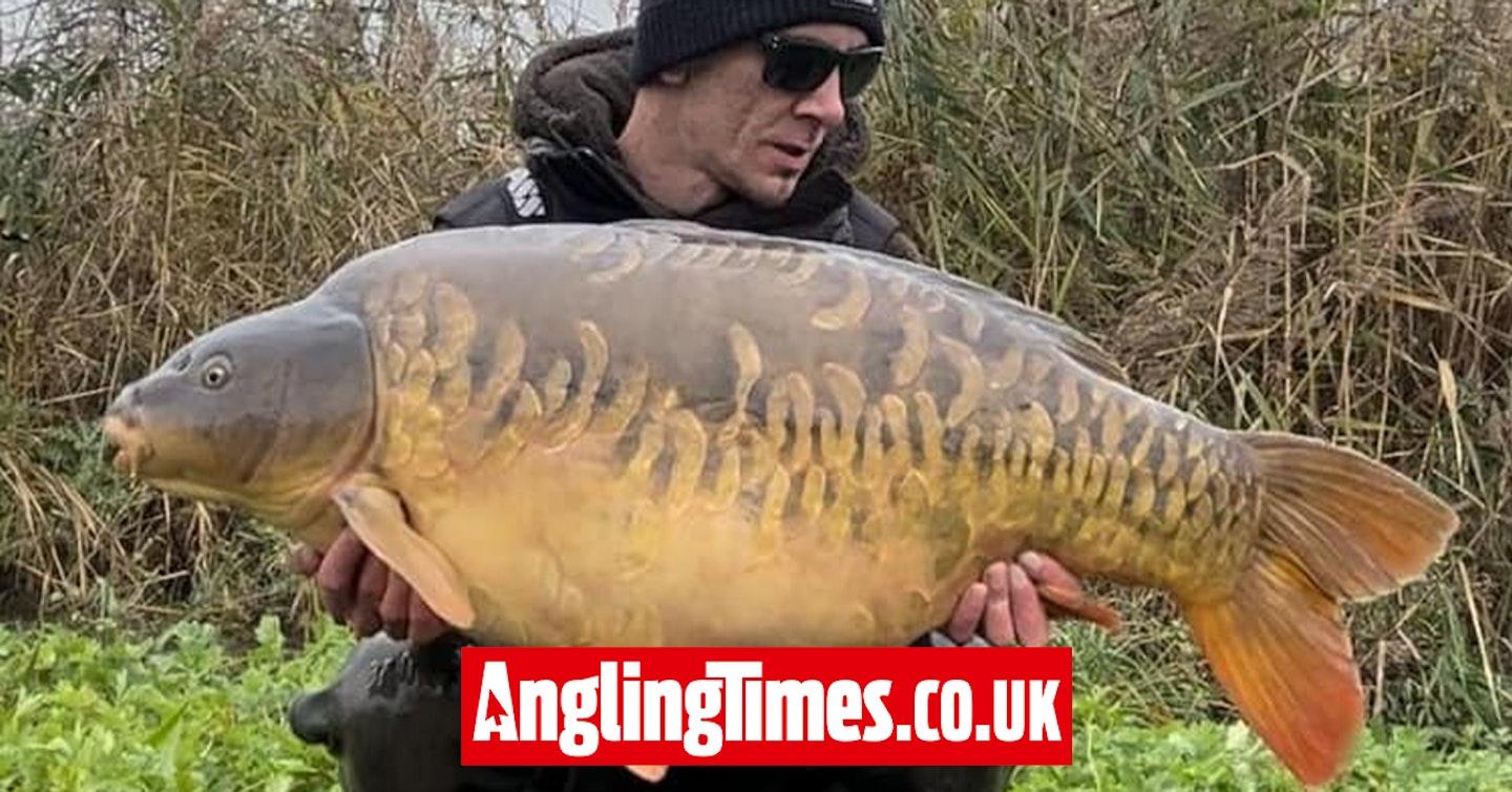 Huge mirror carp grows 20lb in 2 years to set new Linear Fisheries