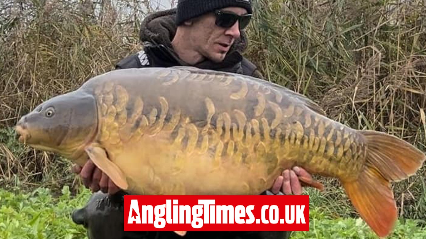 Huge mirror carp grows 20lb in 2 years to set new Linear Fisheries Tar Farm complex record