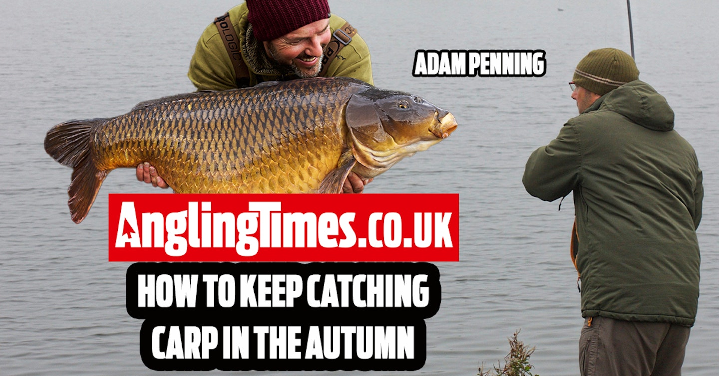Why autumn carp fishing can be very difficult... and what you need to do!