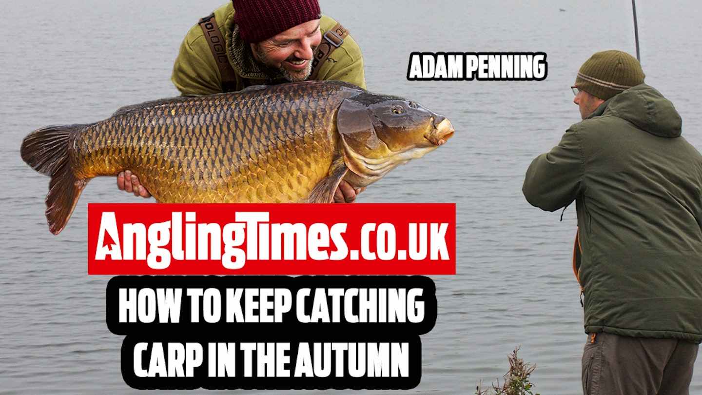 Why autumn carp fishing can be very difficult… and what you need to do!