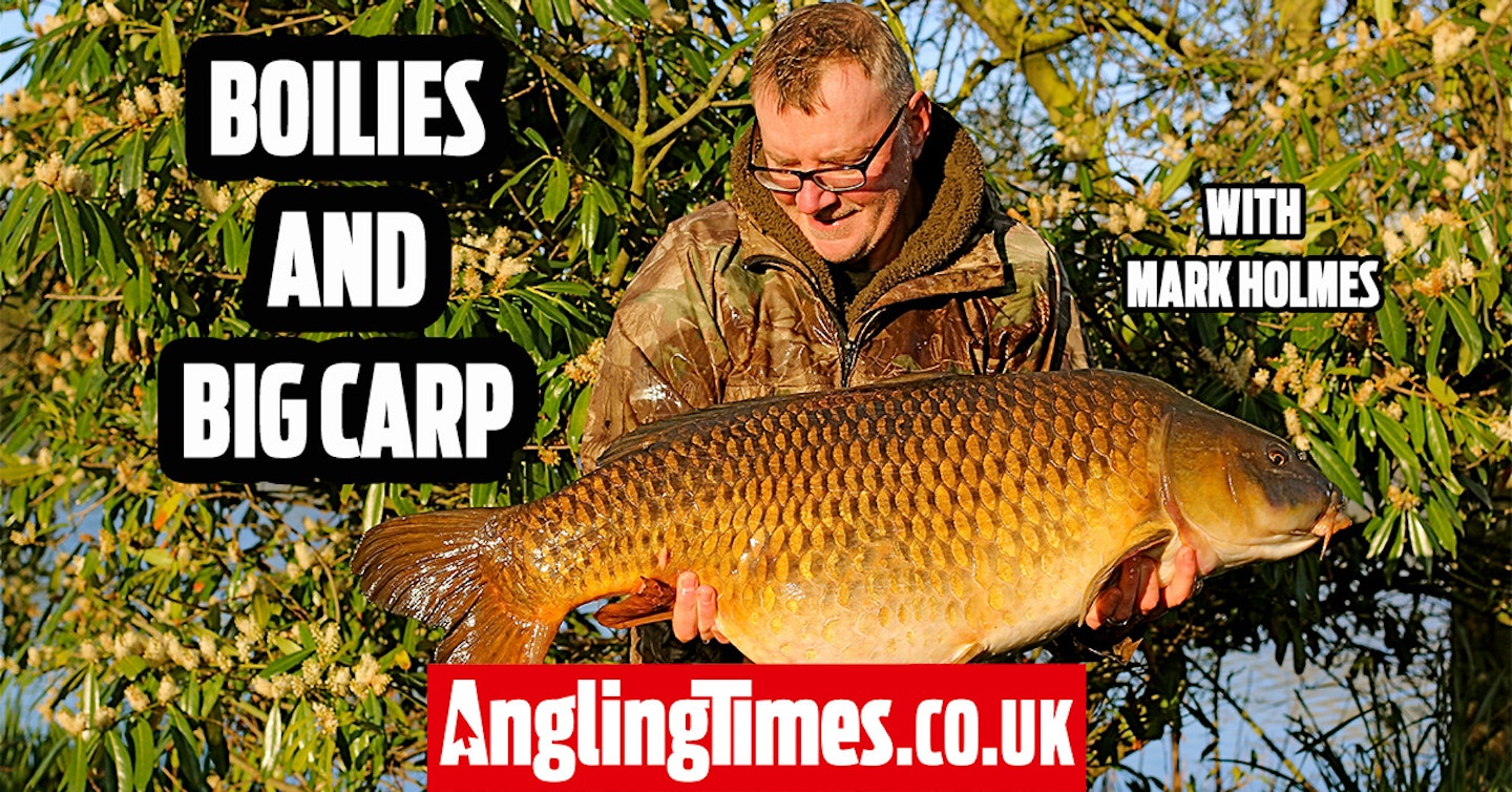 Boilies and big carp fishing with Mark Holmes
