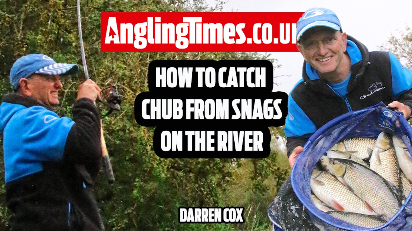 How to catch chub from snaggy river swims