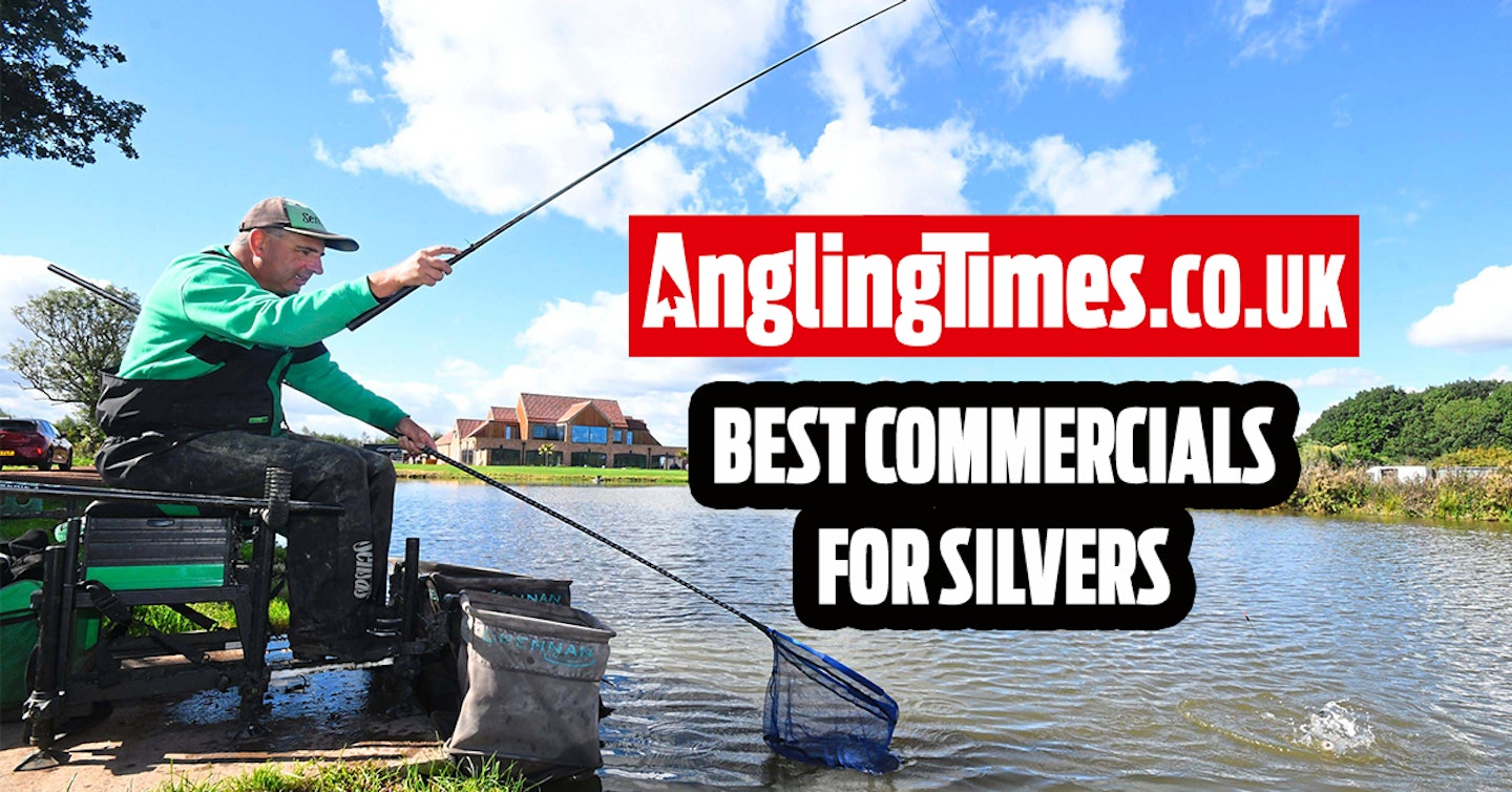 Fishing near me: Best commercial lakes for silverfish