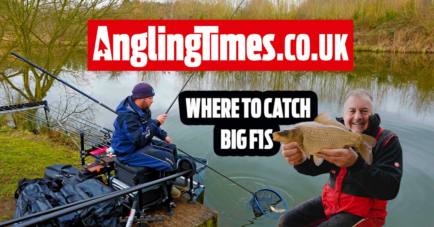 Fishing Near Me: 10 Amazing Venues For Big F1s