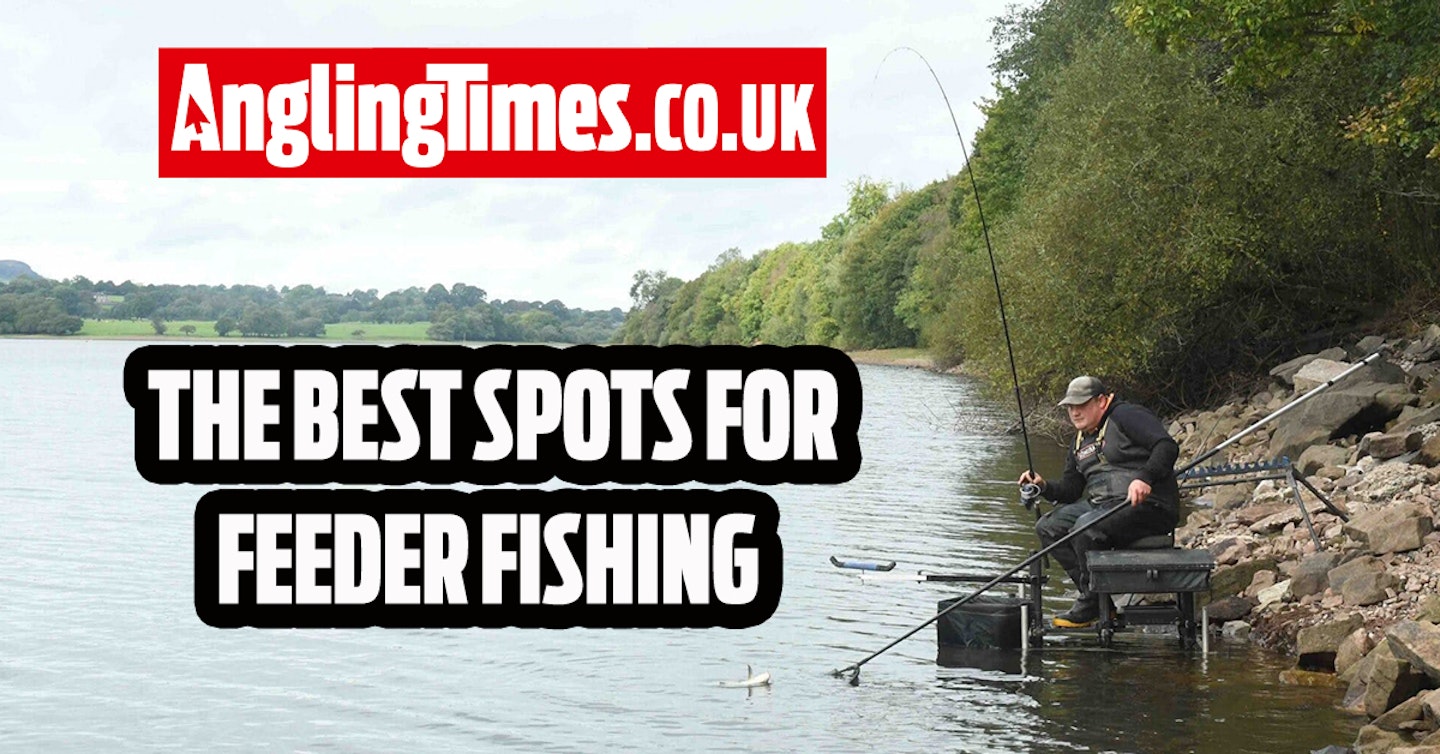 Fishing near me: The best feeder fishing venues used for the