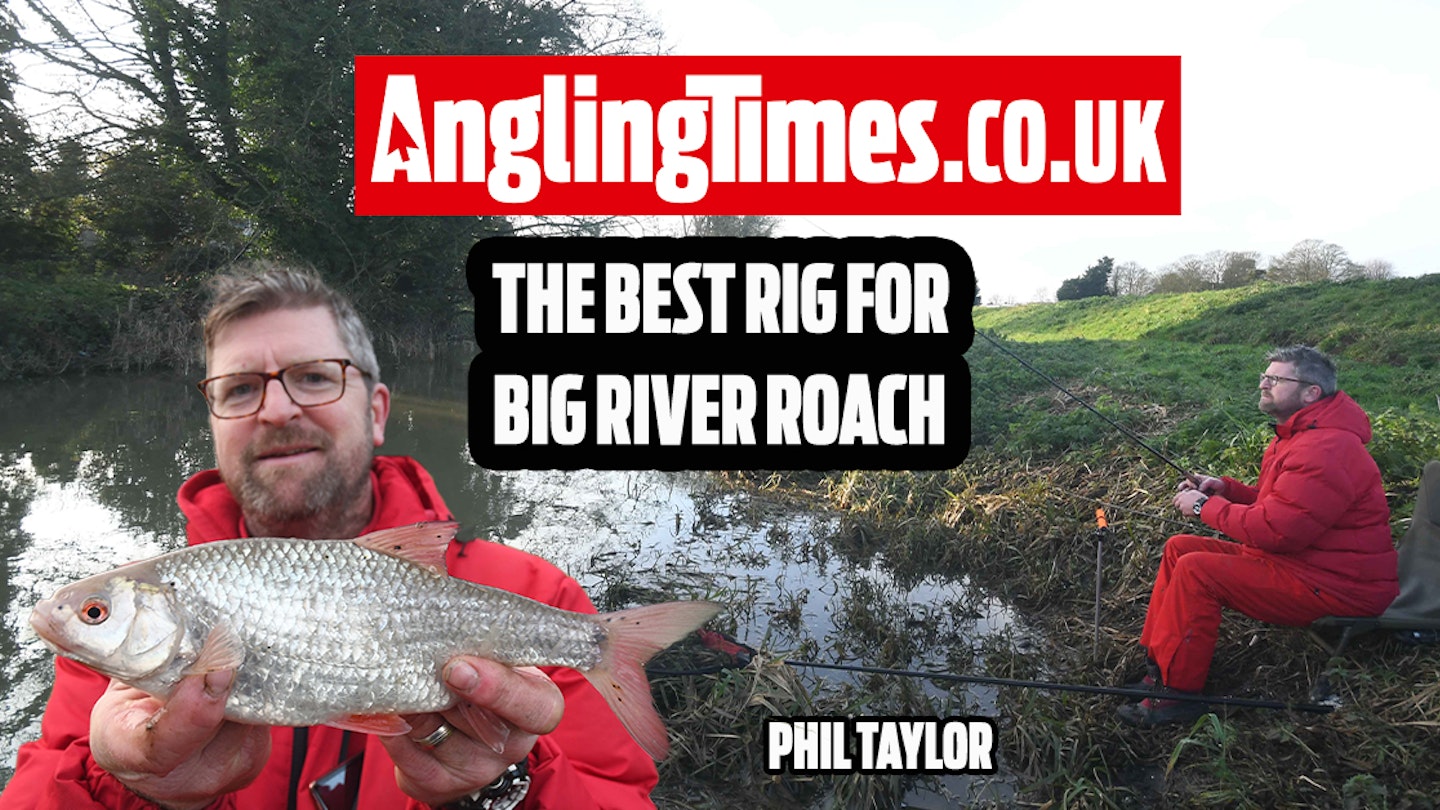 The best rig for roach fishing on coloured rivers