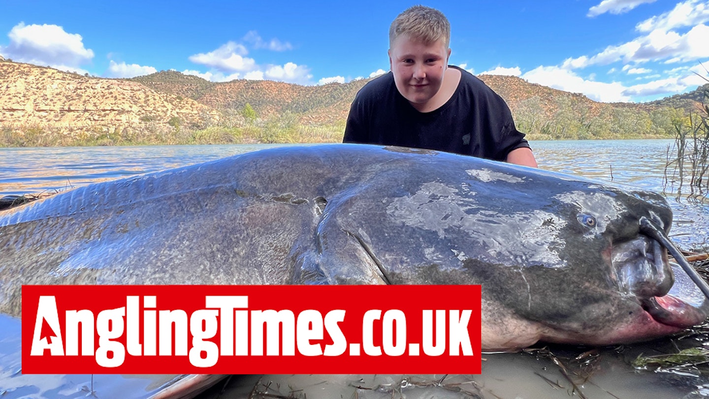 11-Year-Old Schoolboy Lands a Monster Catfish!