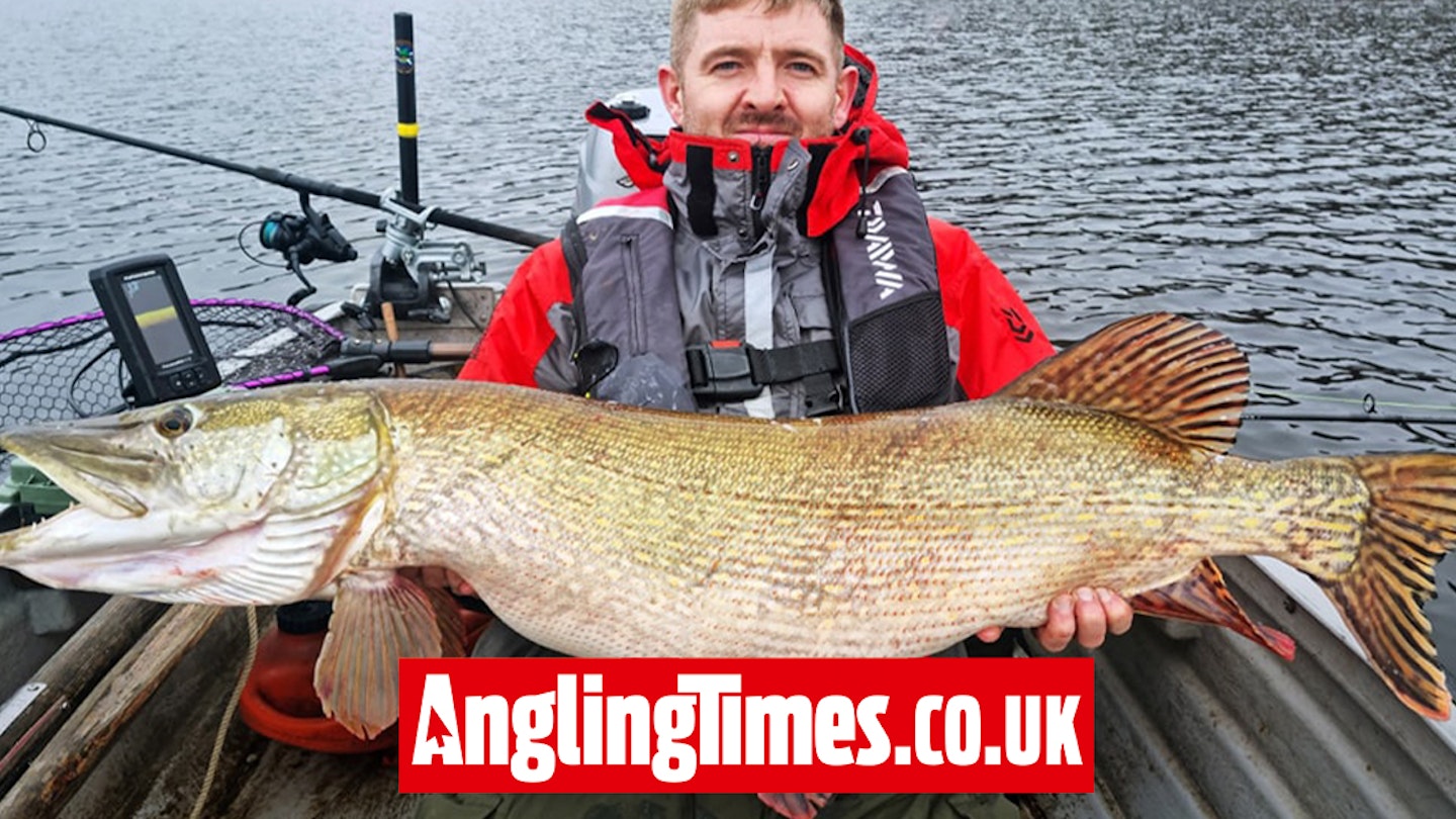 Two giant pike in 2023 for expert predator angler