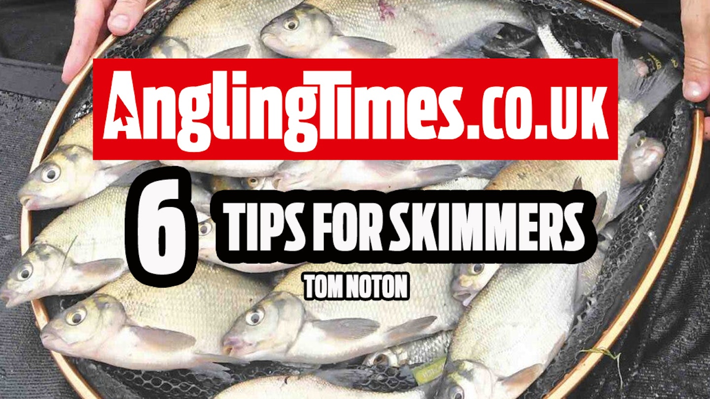 6 of the best tips to catch more skimmers