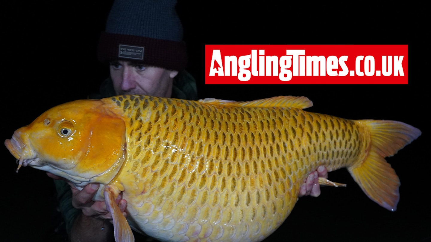 Angler who thought he ‘would never fish again’ catches one of Europe’s most wanted carp