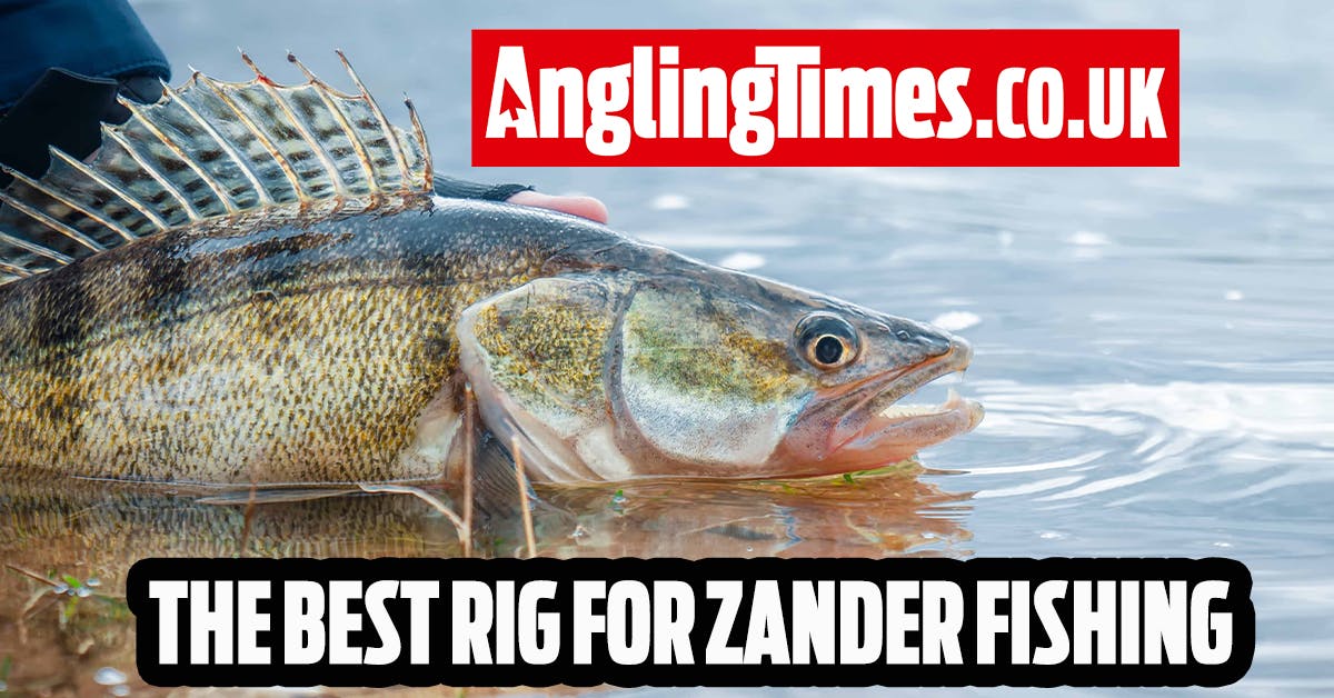 How to tie a running deadbait rig for zander