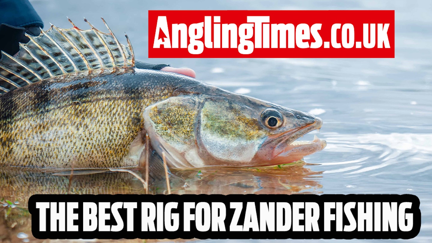 Try this rig to catch your first zander!
