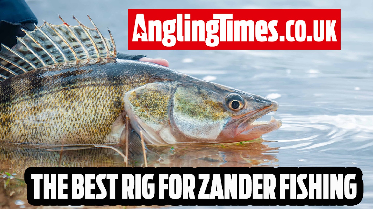 How to tie a running deadbait rig for zander