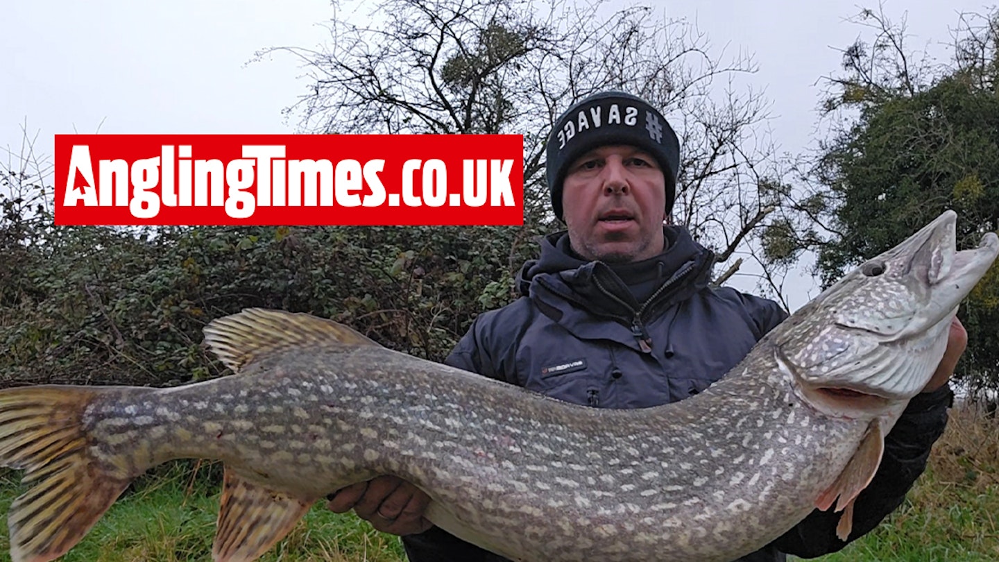 Monster Wye pike landed after the floods