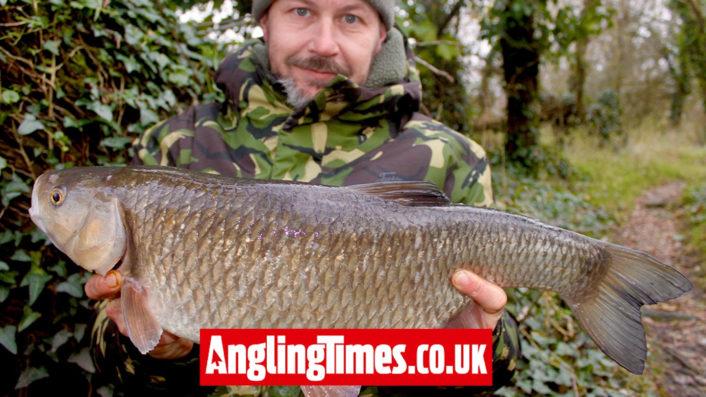 Boilie does the trick for huge Dorset Stour chub