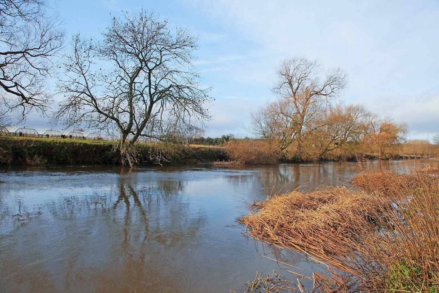 nearside slacks are great, especially when the river is in flood.