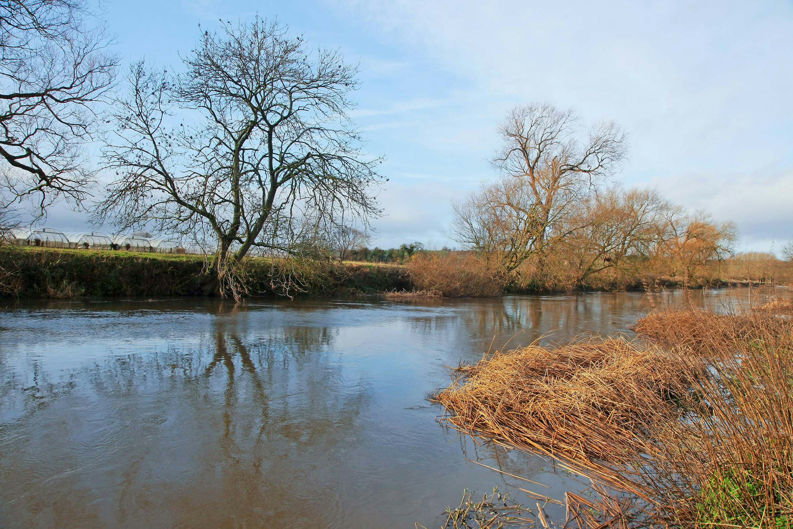 nearside slacks are great, especially when the river is in flood.