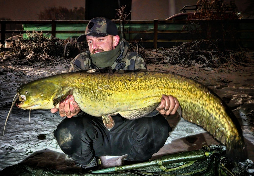 73lb brace of Yorkshire ‘snow carp’…and a catfish