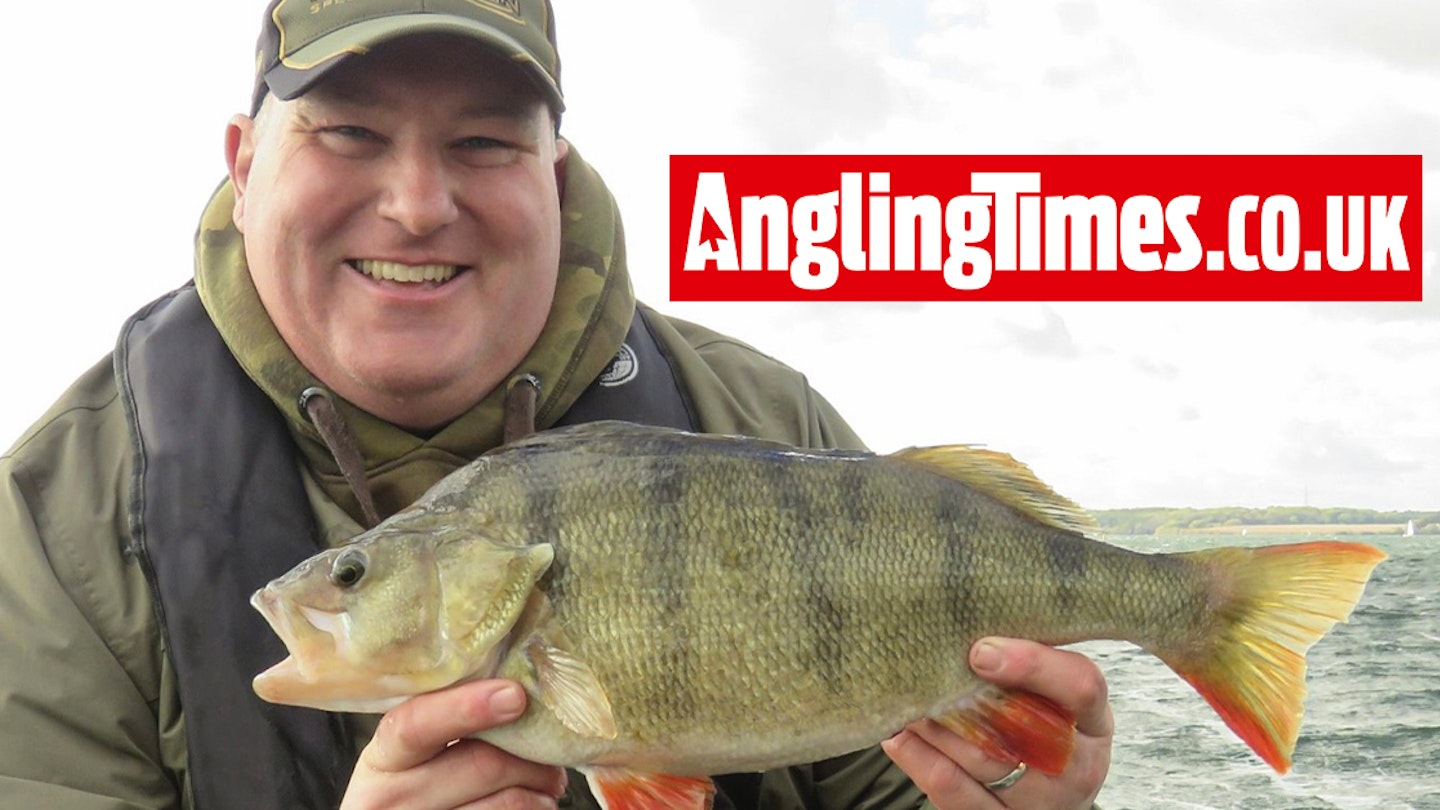 Big perch gives thumping bite on crankbait lure